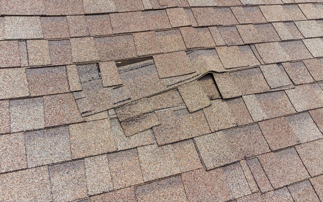 need a new roof