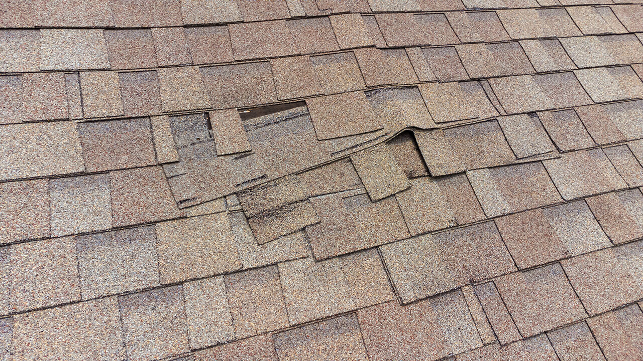4 Signs You Need A New Roof Premier Property Inspections